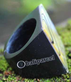 Ring Made From Resin With Shell