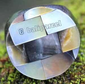Ring Made From Resin With Shell