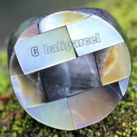 Ring Made From Resin With Shell