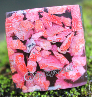 Ring Made From Resin With Redcoral
