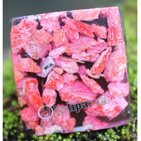 Ring Made From Resin With Redcoral