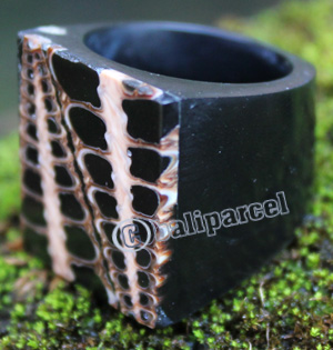 Ring Made From Resin With Shell