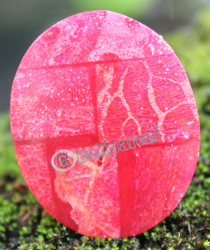 Ring Made From Resin With Redcoral