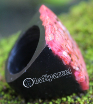 Ring Made From Resin With Redcoral