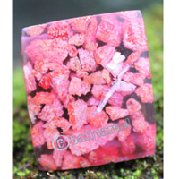 Ring Made From Resin With Redcoral