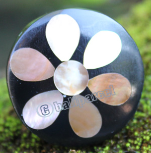 Ring Made From Resin With Shell