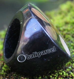 Ring Made From Resin With Shell