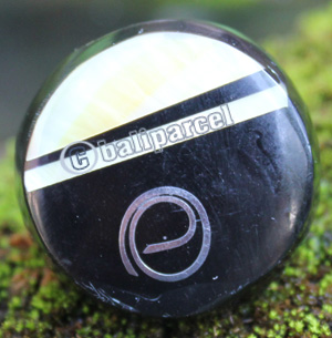 Ring Made From Resin, Shell With Stainless