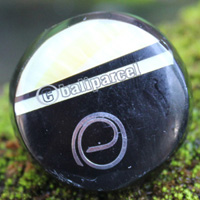 Ring Made From Resin, Shell With Stainless