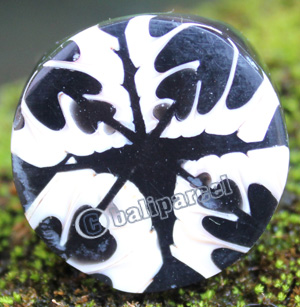 Ring Made From Resin With Shell