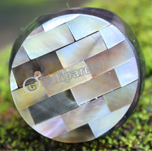 Ring Made From Resin With Shell