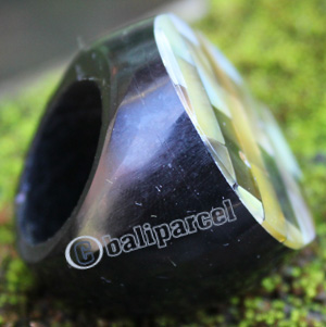 Ring Made From Resin With Shell