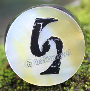 Ring Made From Resin With Shell
