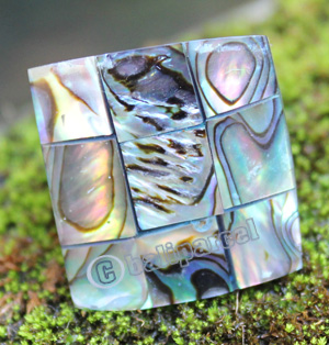 Ring Made From Resin With Shell