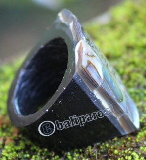 Ring Made From Resin With Shell