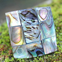 Ring Made From Resin With Shell