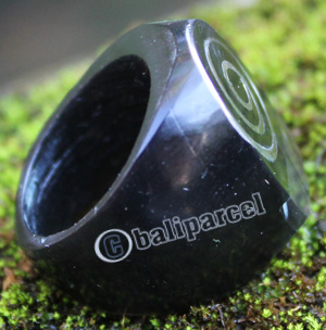 Ring Made From Resin, Shell With Stainless