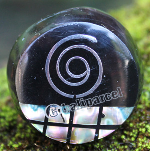 Ring Made From Resin, Shell With Stainless