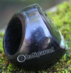 Ring Made From Resin, Shell With Stainless