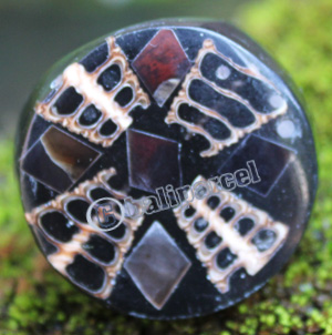 Ring Made From Resin With Shell