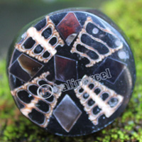 Ring Made From Resin With Shell