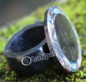 Ring Made From Resin With Shell