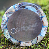 Ring Made From Resin With Shell