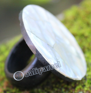Ring Made From Resin With Shell