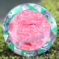 Ring Made From Resin, Shell With Coral