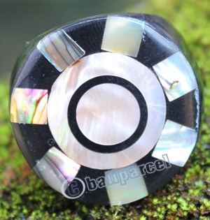 Ring Made From Resin With Shell