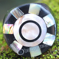 Ring Made From Resin With Shell