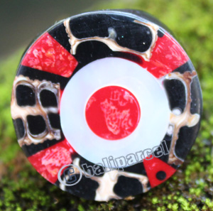 Ring Made From Resin, Shell With Coral