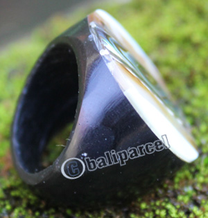 Ring Made From Resin With Shell