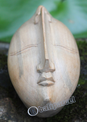 Wooden Jewlery Box Made With Wcrocodile Wood