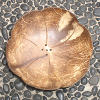 Wooden Soap Dish, Hand Carved From Coconut Wood 