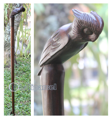 Owl Walking Stick, Hand Carved From Sono Wood
