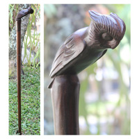 Owl Walking Stick, Hand Carved From Sono Wood