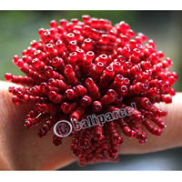Ring, Made From Glassbeads
