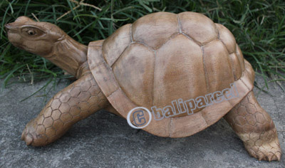 Wooden Tortoise, Hand Carved From Suar Wood