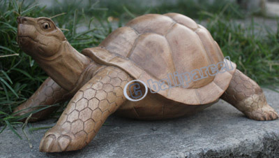 Wooden Tortoise, Hand Carved From Suar Wood