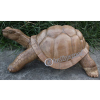Wooden Tortoise, Hand Carved From Suar Wood