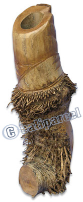 Bamboo Vase, Handmade From Bamboo Root