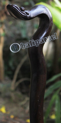 Snake Walking Stick, Hand Carved From Sono Wood