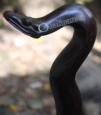 Snake Walking Stick, Hand Carved From Sono Wood