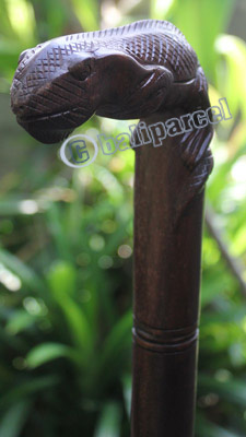 Lizard Walking Stick, Hand Carved From Sono Wood