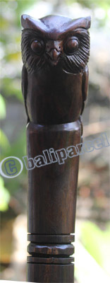 Owl Walking Stick, Hand Carved From Sono Wood