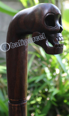 Skleton Walking Stick, Hand Carved From Sono Wood