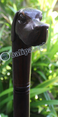 Dog Walking Stick, Hand Carved From Sono Wood