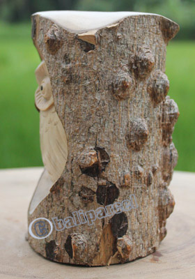 Wooden Owl Handcarved From Crocodile Wood