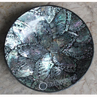 Bowl, Made From Shell With Resin